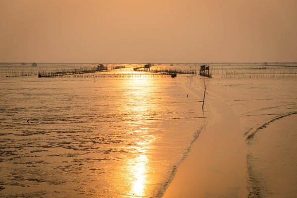 Quels sont les meilleurs spots pour la plongée sous-marine dans le golfe de Californie, Mexique?